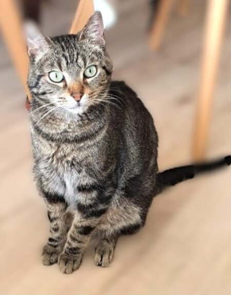 Adopter Néo
