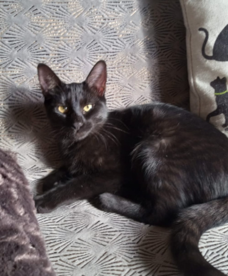 Adopter Nina