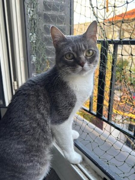 Adopter Nuage