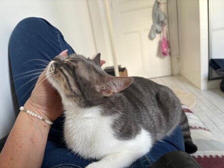Adopter Nuage