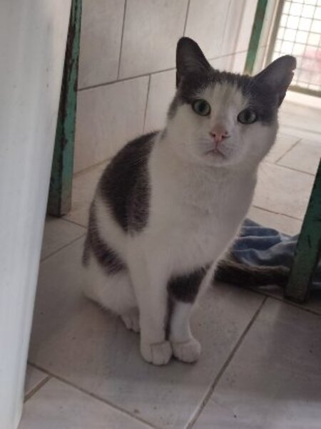Adopter Nuage