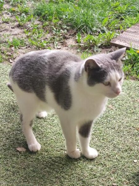 Adopter Nuage