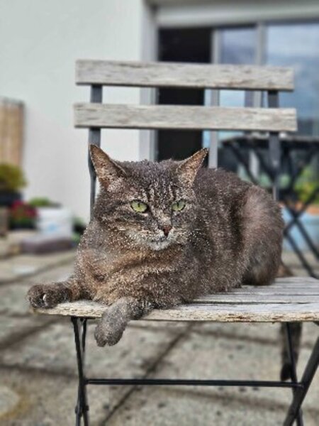Adopter Nuwa