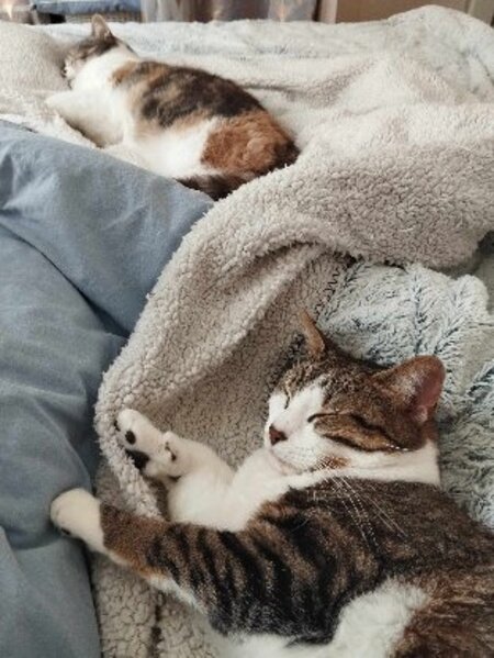 Adopter Oksana