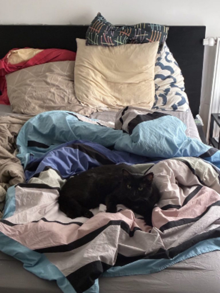 Adopter Onyx