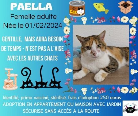 Adopter Paella
