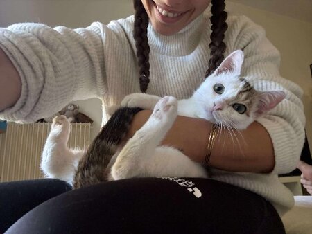 Adopter Petit pain