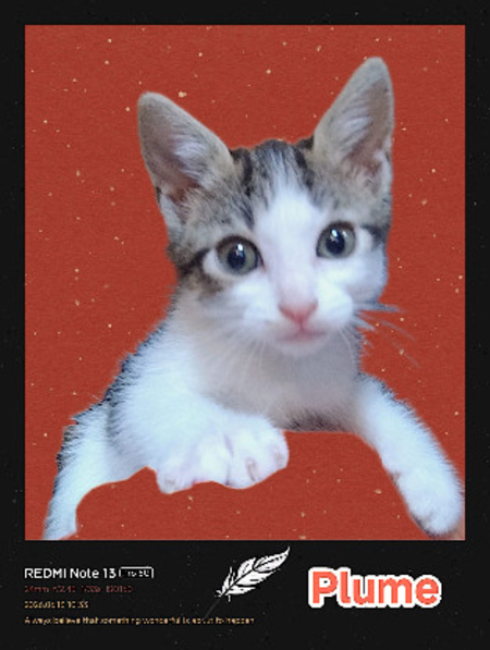 Adopter Plume