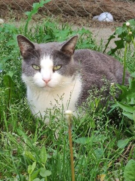 Adopter Poussiere