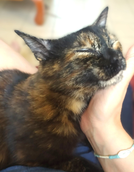 Adopter Rita