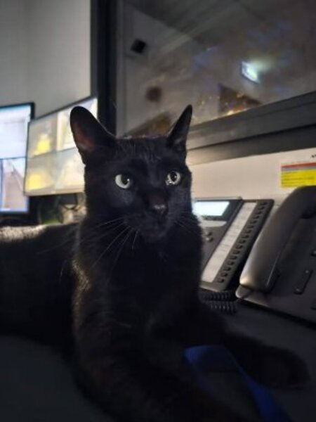Adopter Rocket