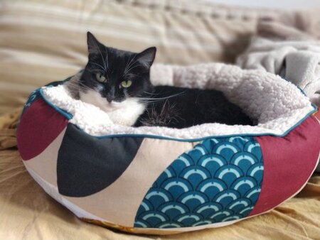 Adopter Salomé