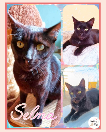 Adopter Selma