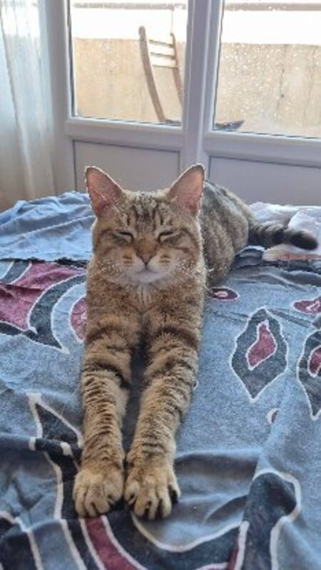 Adopter Sloupe