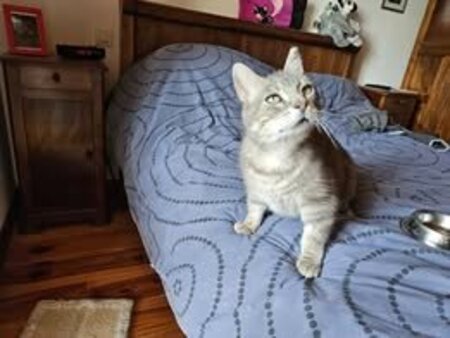 Adopter Soleio