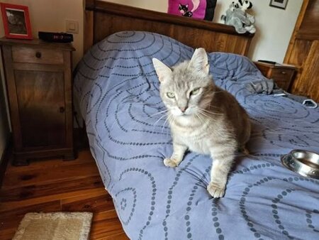 Adopter Soleio