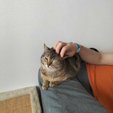 Adopter Udelali