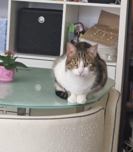 Adopter Val