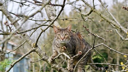 Adopter Vitamine