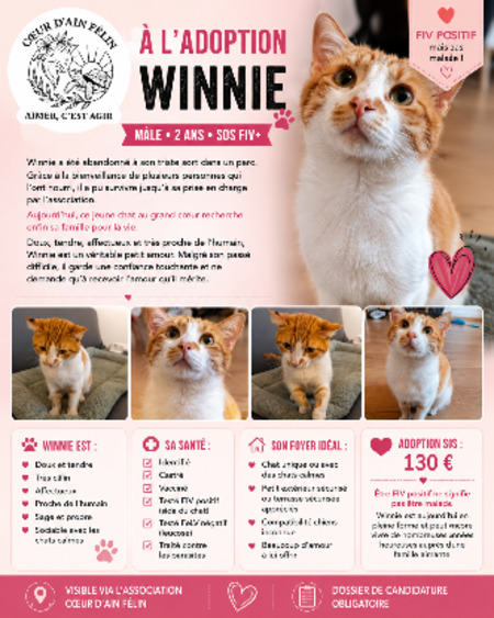 Adopter Winnie