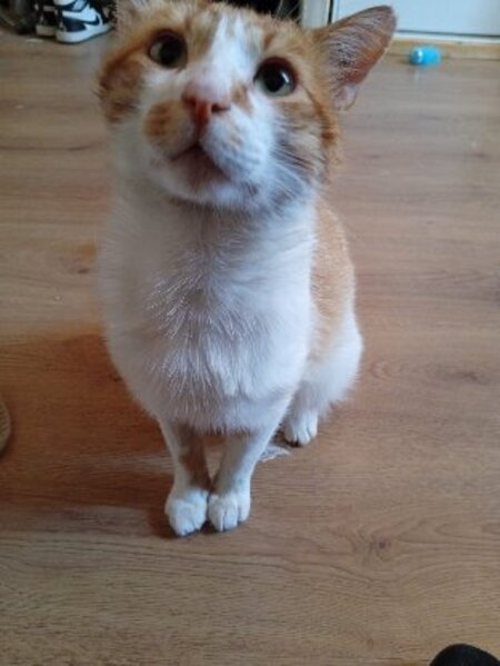 Adopter Winnie