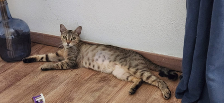 Adopter Yuka