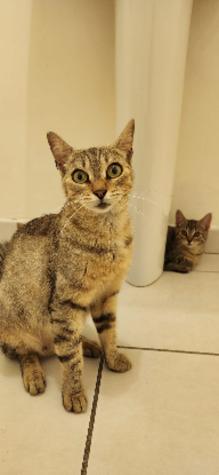 Adopter Yuka