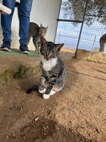 Adopter Yumi