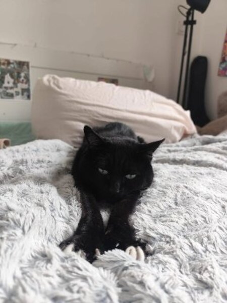 Adopter Yuna