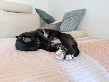 Adopter Yuna