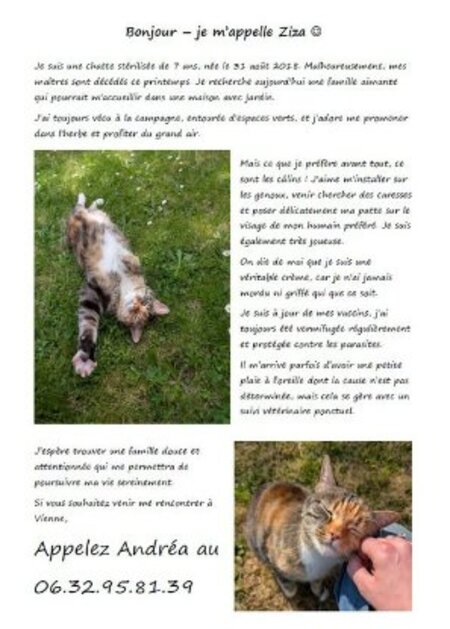 Adopter Ziza