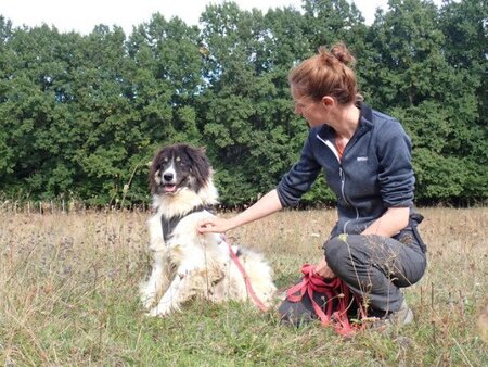 Adopter Alfred