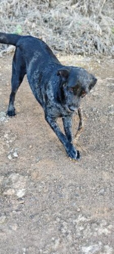 Adopter Andrea