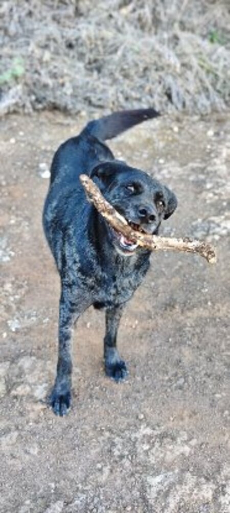 Adopter Andrea