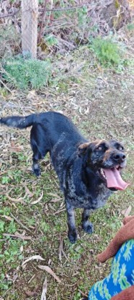 Adopter Andréa