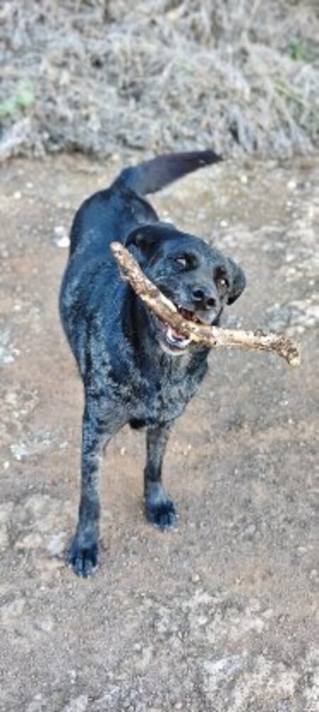 Adopter Andréa