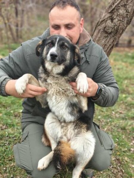 Adopter Ava