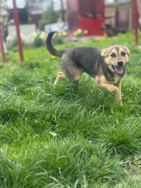 Adopter Bélize
