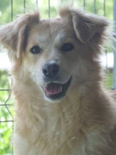 Adopter Bercy