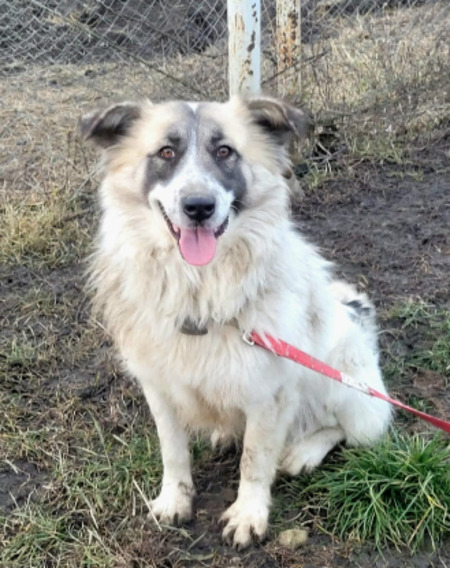 Adopter Beth