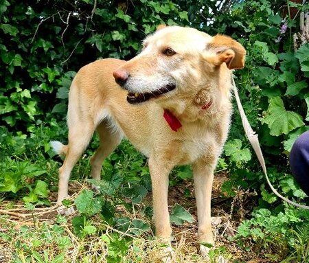 Adopter Bimba