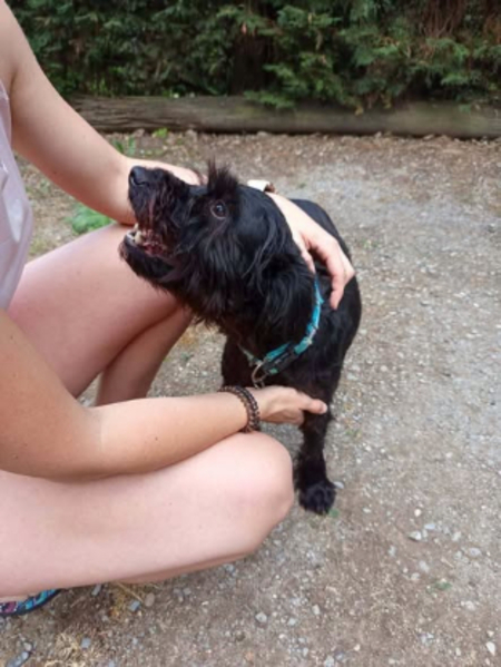 Adopter Bouba
