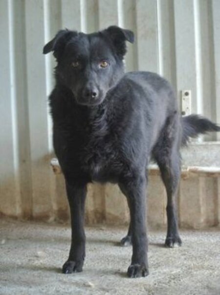 Adopter Brianna