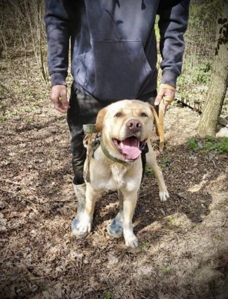 Adopter Bruce