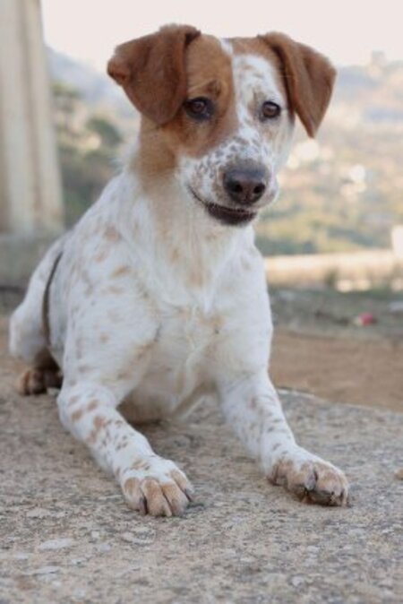 Adopter Bryanna
