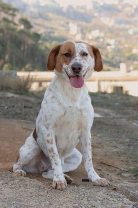 Adopter Bryanna