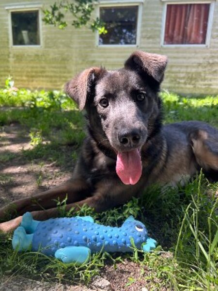 Adopter Byron