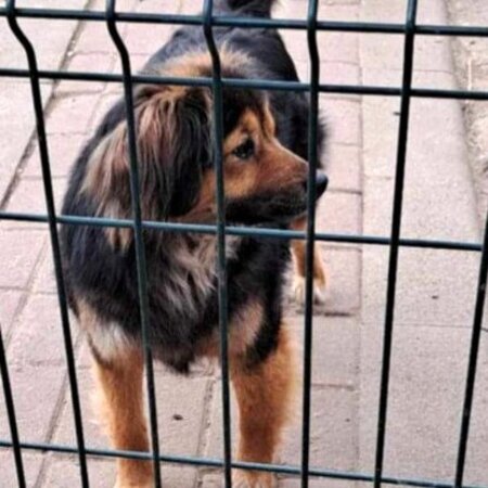 Adopter Carla