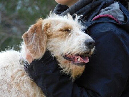 Adopter Charco