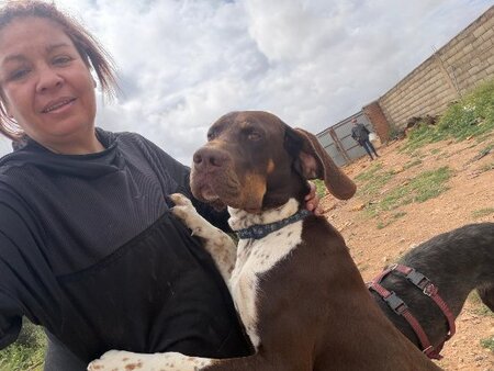 Adopter Chocolate
